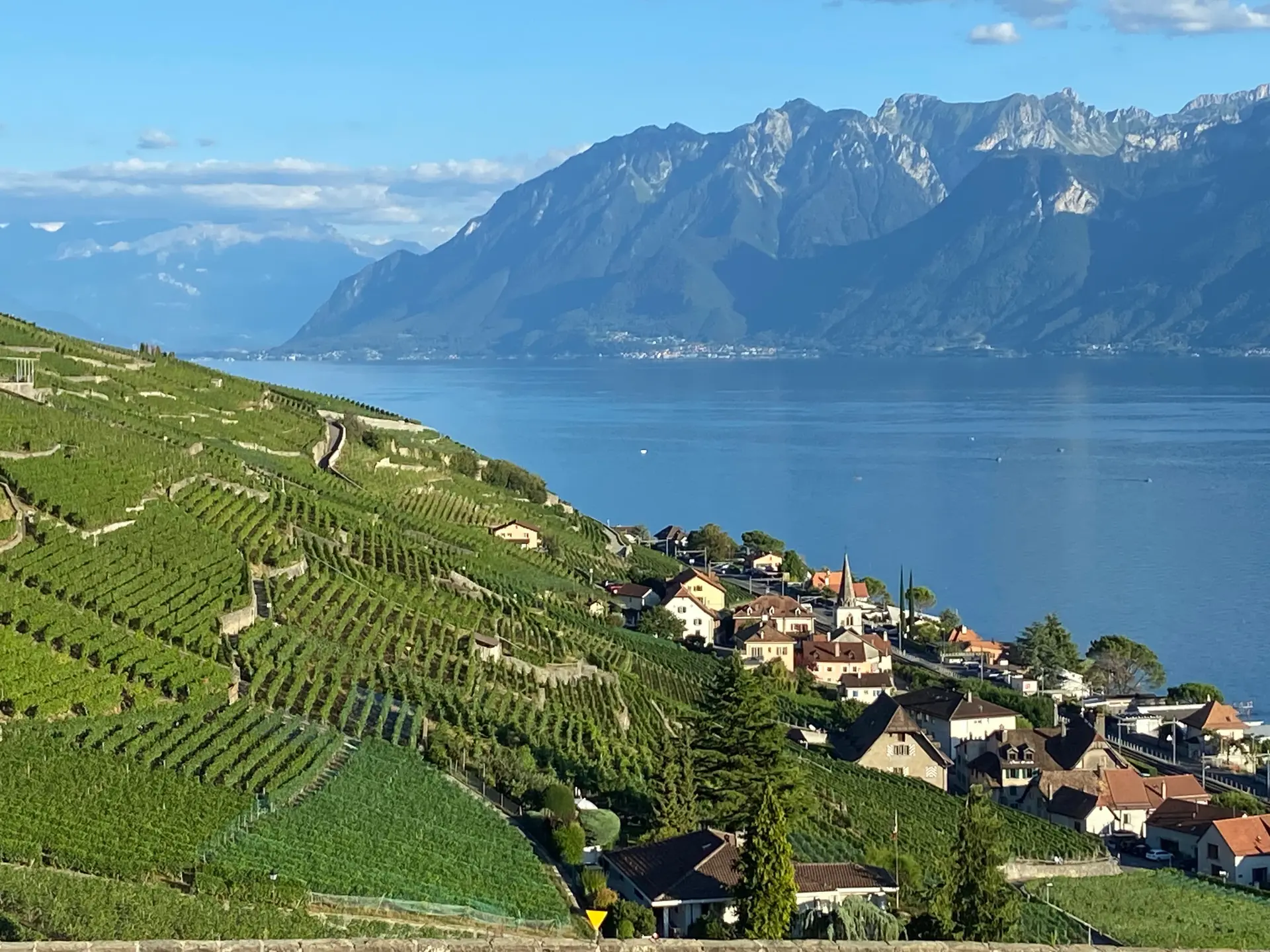 Private Tour In Lavaux Switzerland